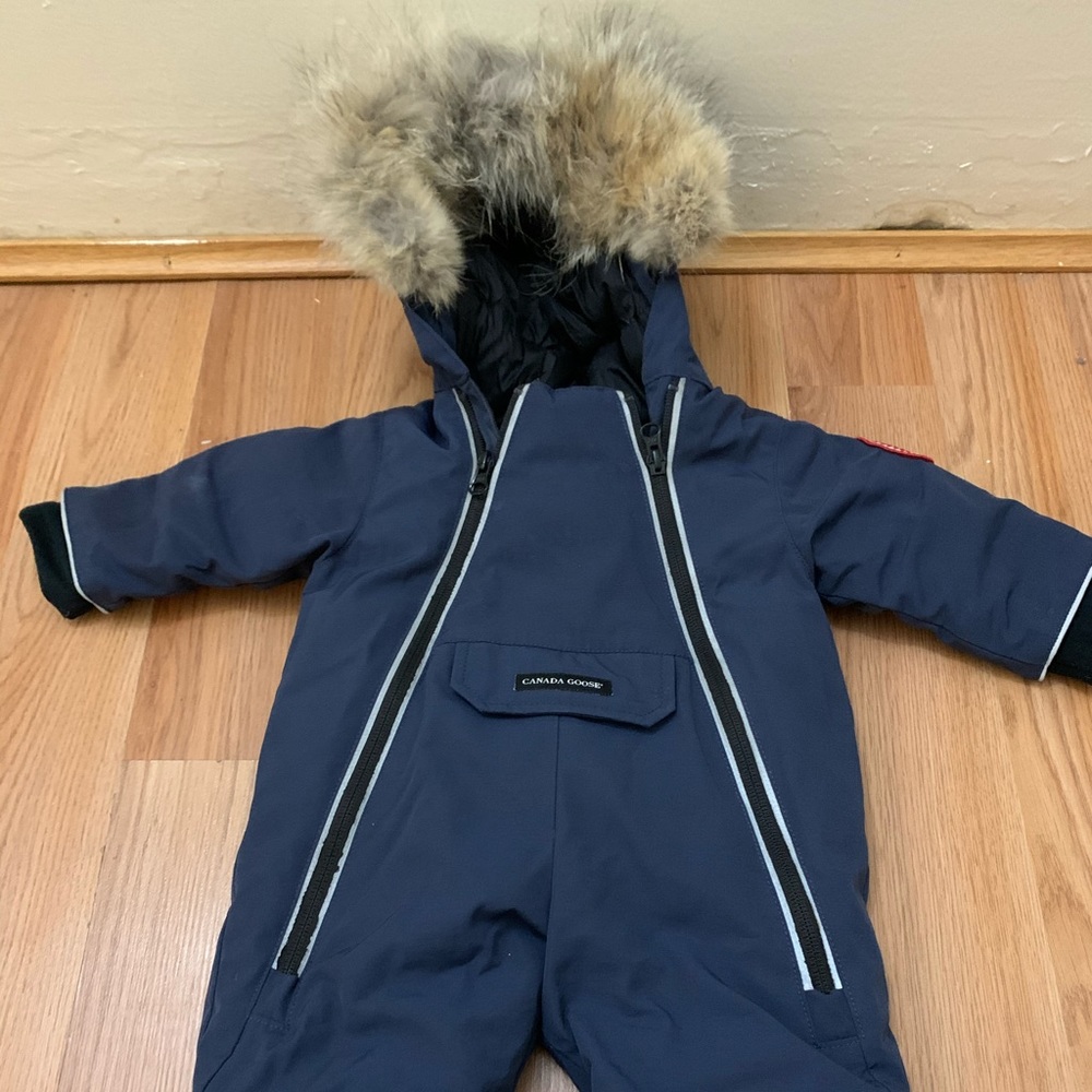 Canada goose